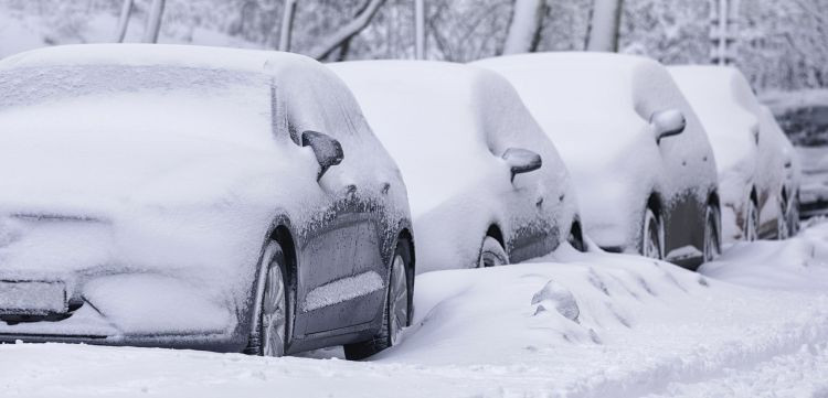 Cetraa filomena nieve frio