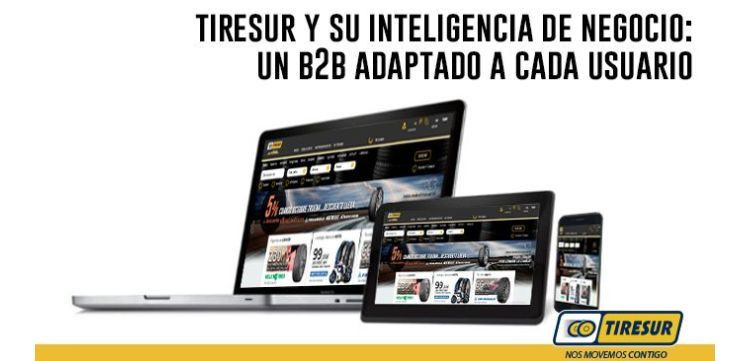 tiresur plataforma b2b