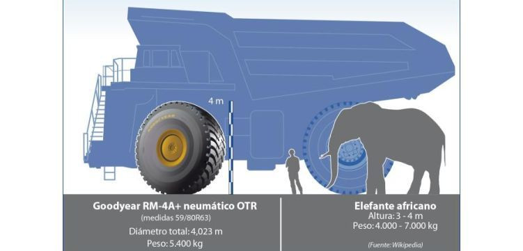 Goodyear neumatico elefante