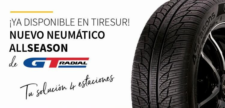 tiresur neumatico GT Radial