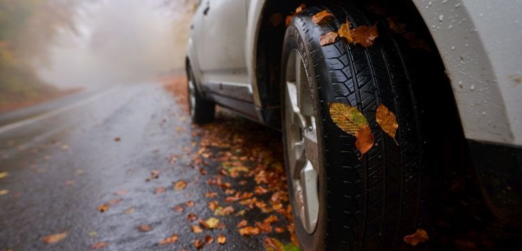 Confortauto conduccion otoño