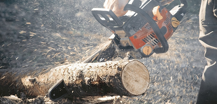 Ext emea ngksparkplug feature chainsaw 2 2021 11 class p