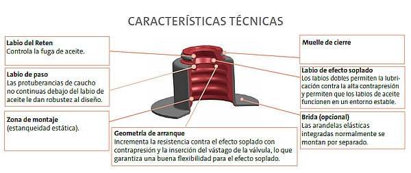 Retenescoerteco