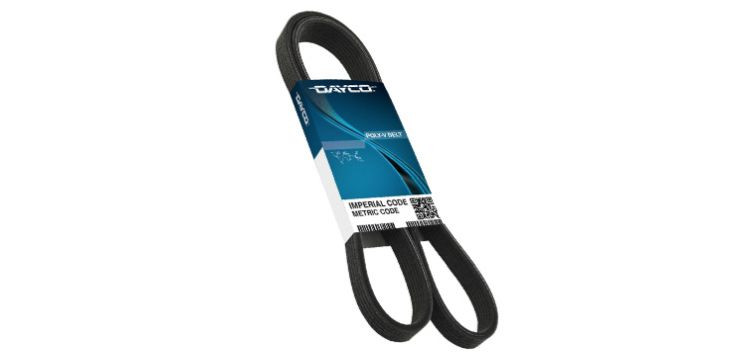 Dayco correas poly V