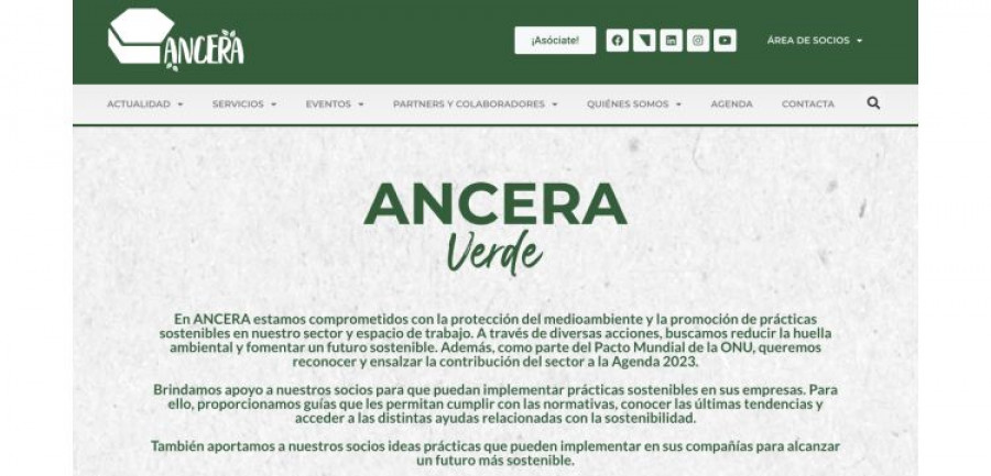 ANCERA VERDE