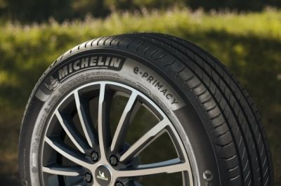 Michelin eprimacy 2