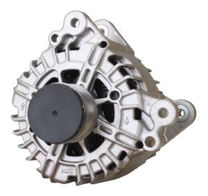 Borg alternador 2