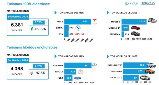 Matriculaciones electrificados marcas modelos septiembre 2024 2