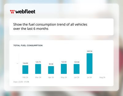 Webfleet AI Assistant 2