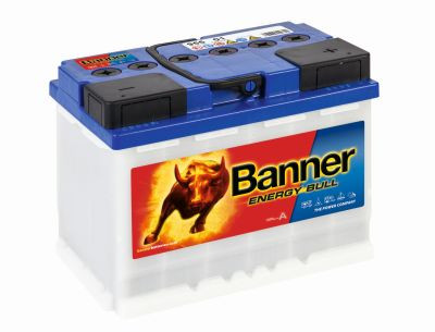 Banner Energy Bull Dual Power 2