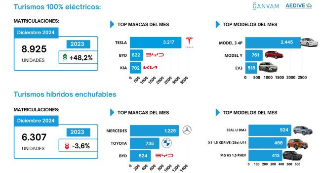 Ganvam matriculaciones vehiculos electrificados diciembre 2024 marcas 2