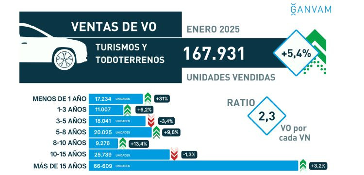 Ventas VO enero 2025 Ganvam