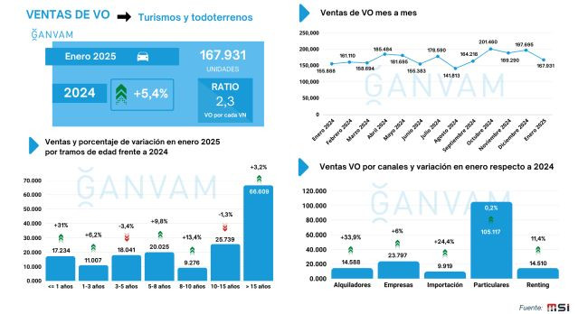 Ventas VO enero 2025 ganvam 2