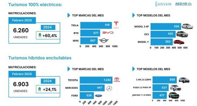 Matriculaciones turismos electrificados febrero 2025 marcas ganvam 2