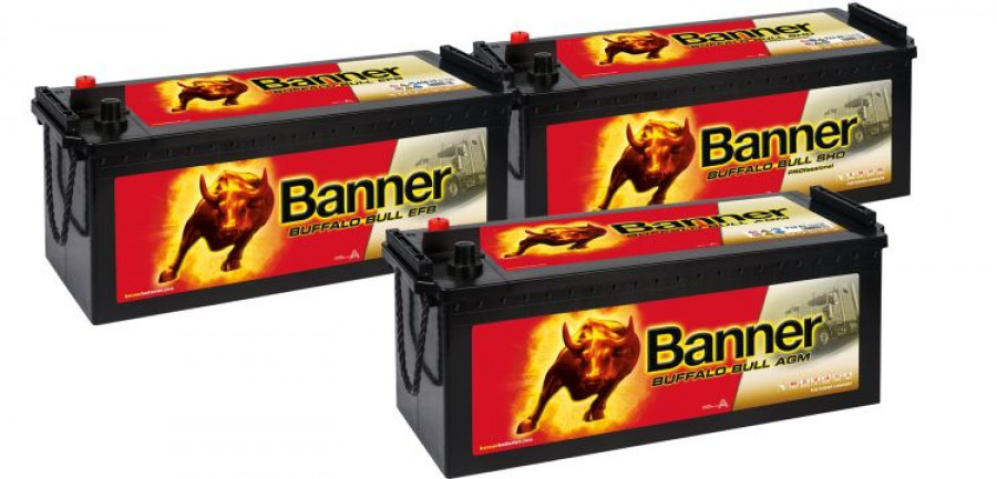 Banner baterias Buffalo Bull