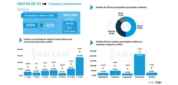 Ganvam ventas vehiculo ocasion acumulado febrero 2025